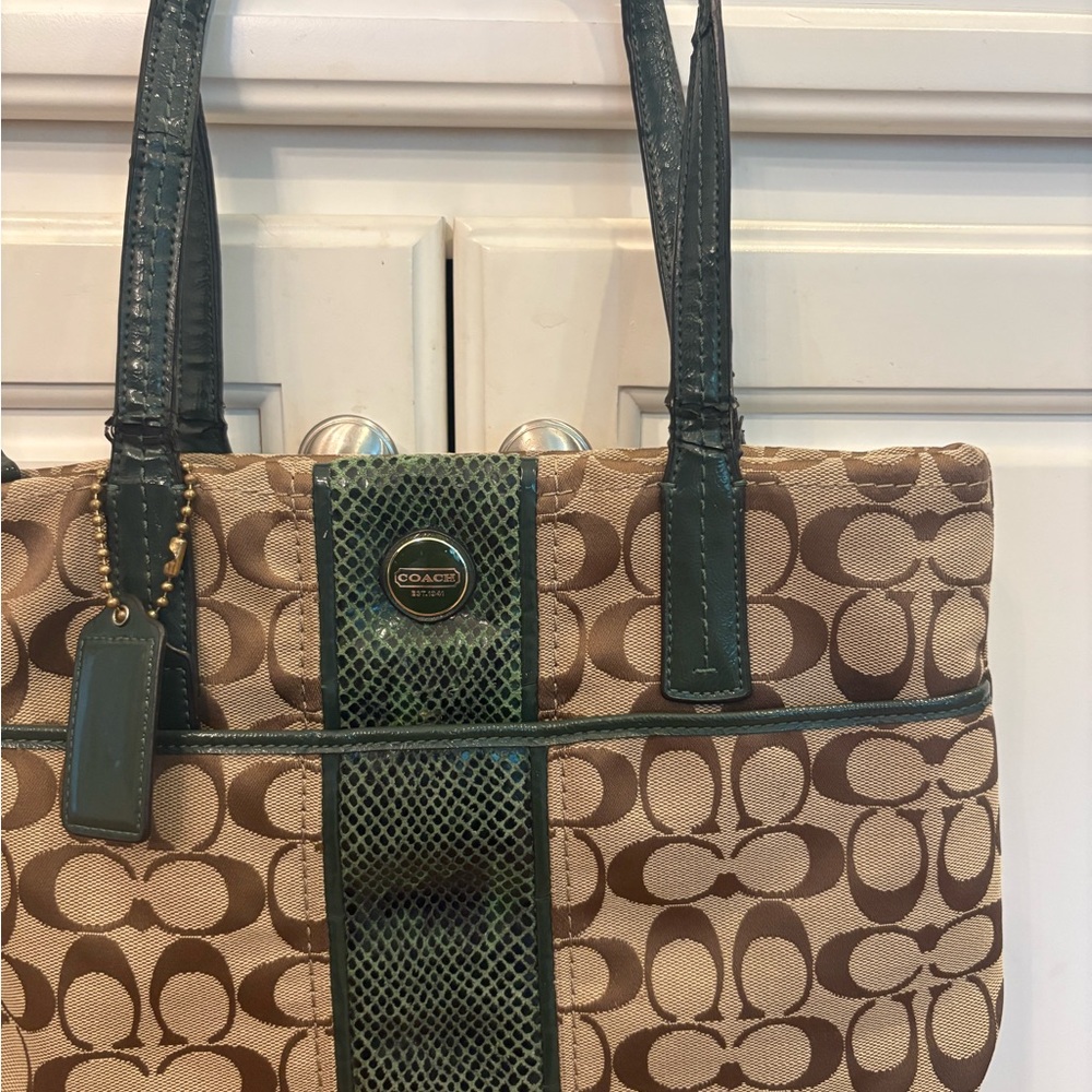 Authentic Coach green snakeskin purse